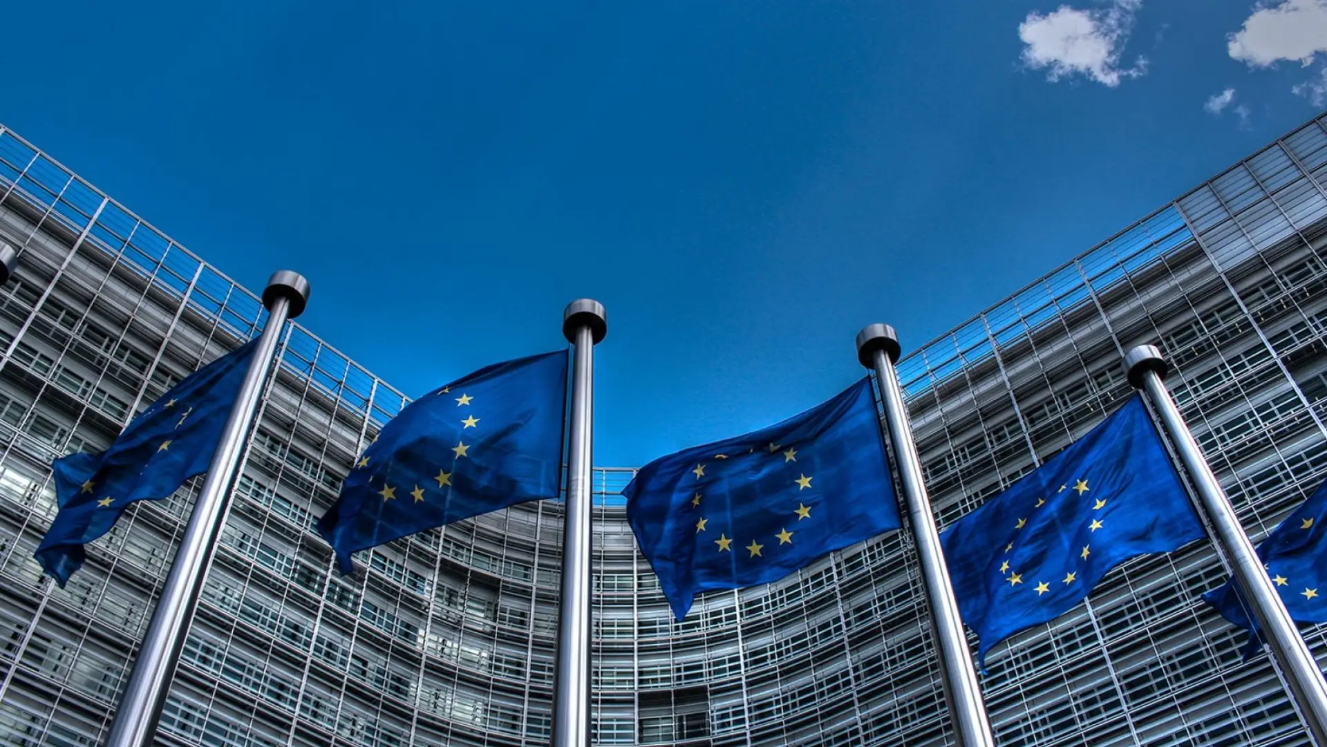 EU establishes AI Office to champion trustworthy Artificial Intelligence