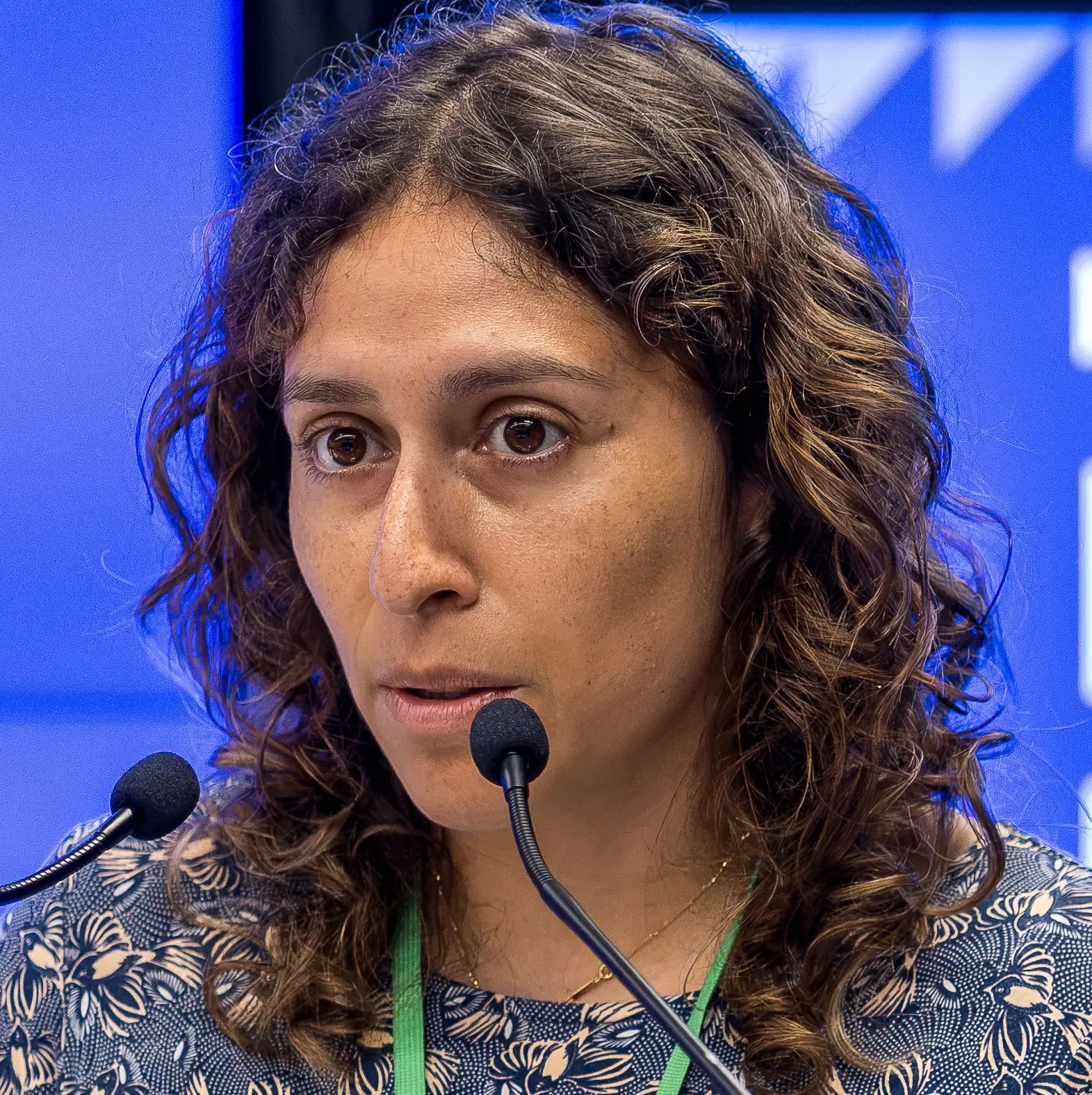Laura Lazaro Cabrera